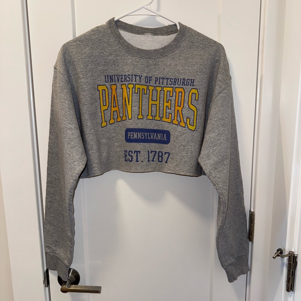 University of Pittsburgh cropped crewneck - size S